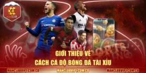 Giới thiệu về cách cá độ bóng đá tài xỉu 