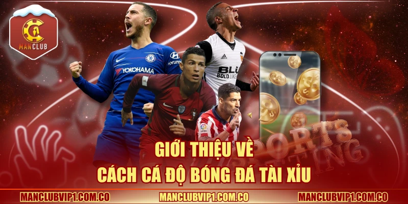 Giới thiệu về cách cá độ bóng đá tài xỉu